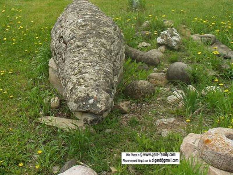 rocheperceeicthy2.jpg