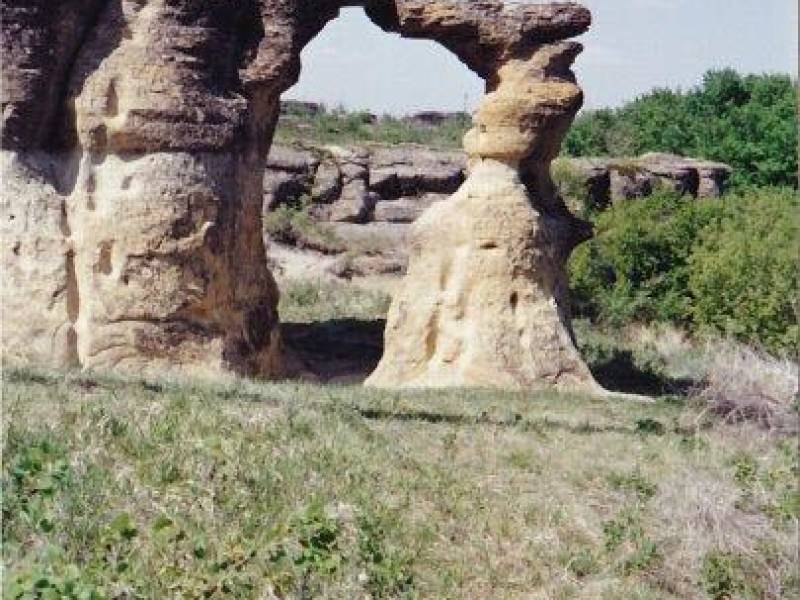 img_20190118_0025_1_.jpg