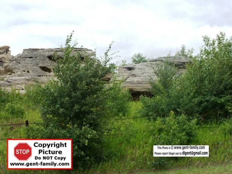 sdc11175.jpg