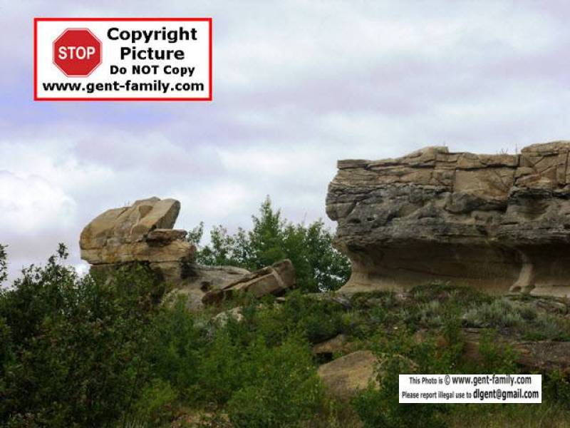 sdc11176.jpg