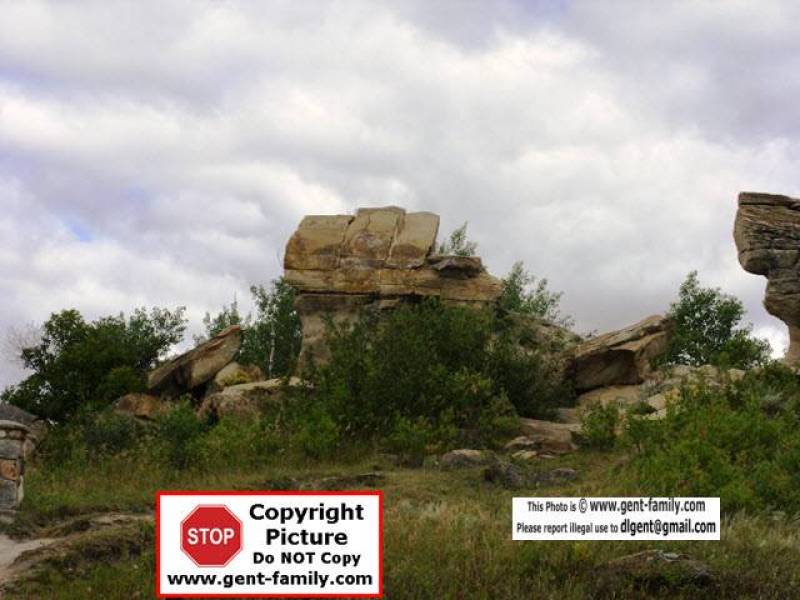 sdc11178.jpg