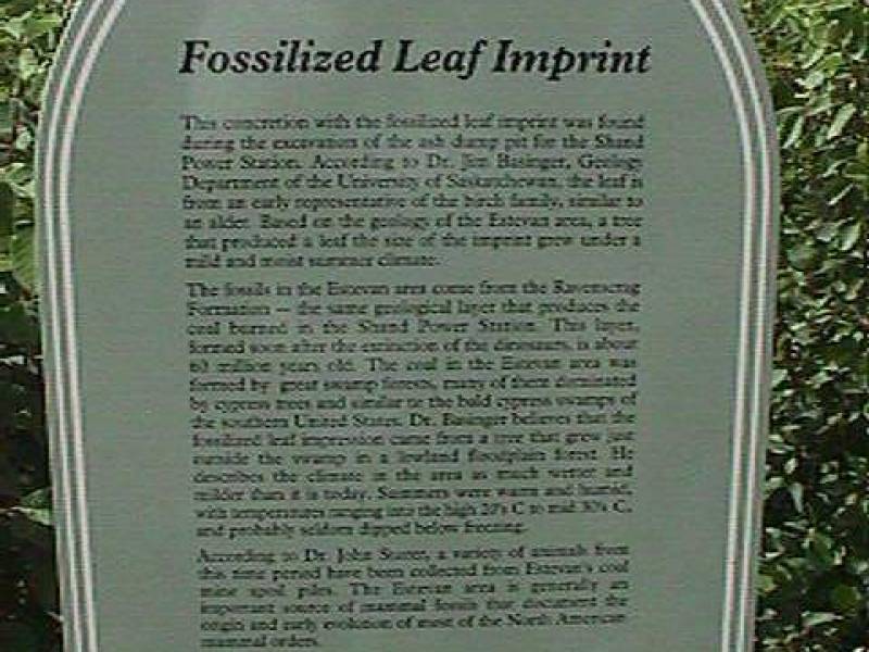 shand_leaf_sign.jpg