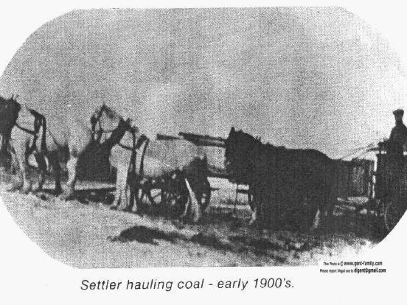 settlerhaulingcoalearly1900s.jpg