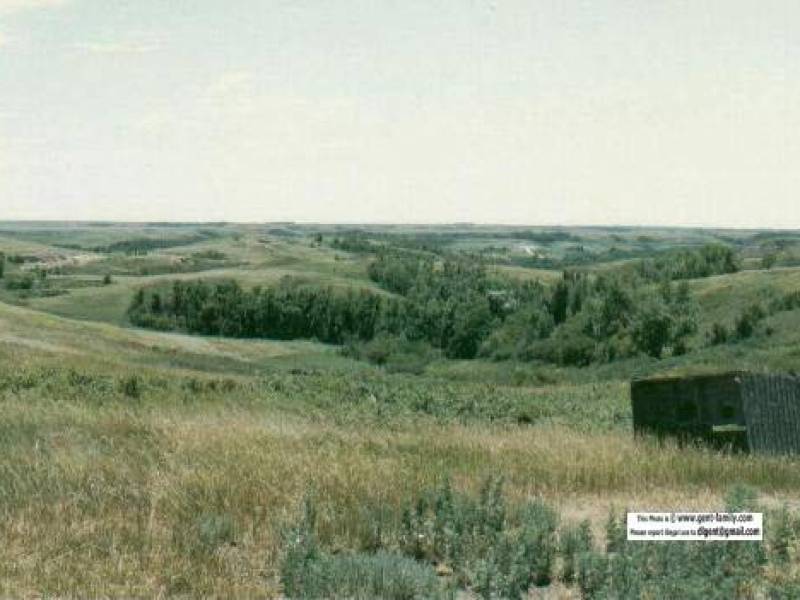 taylortonouthousefriedtmar2002.jpg