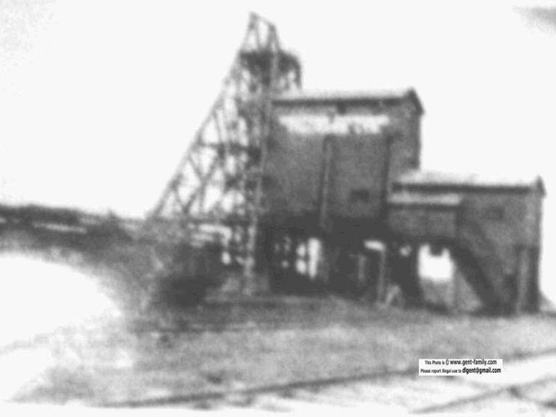 taylortontipple1.jpg