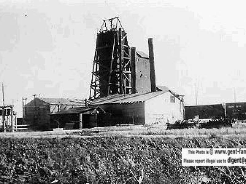 taylortonz.jpg