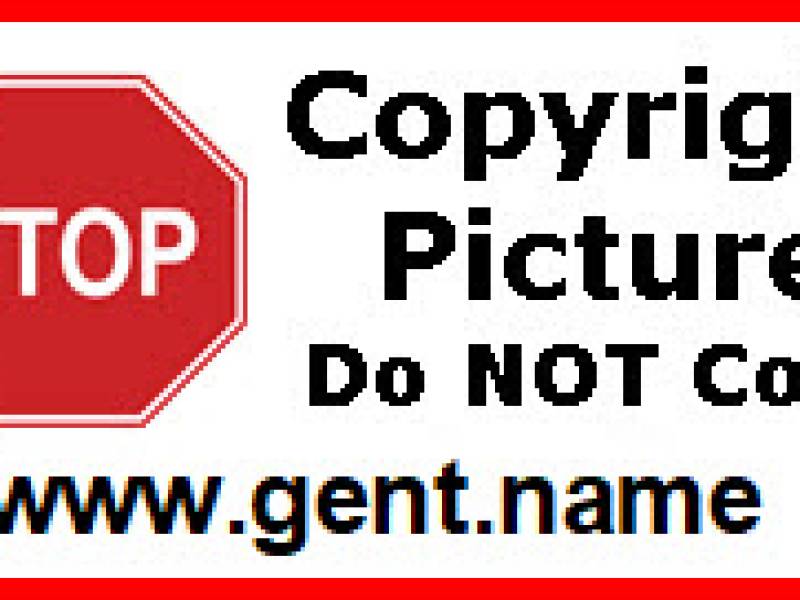 stopsigncopyrightsymbol2.jpg