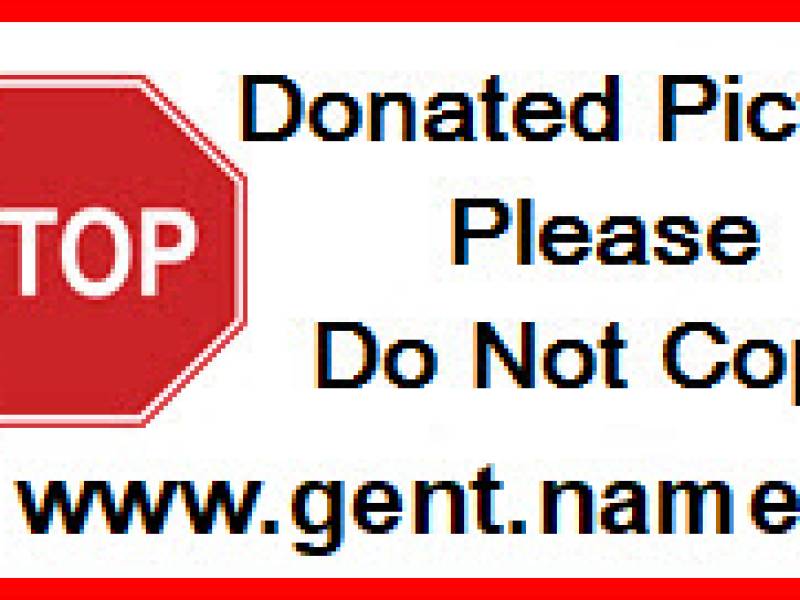 stopsigndonatedpicture2.jpg